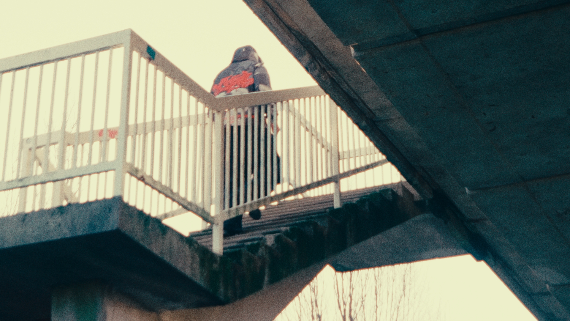 Vynil Wrld advert still